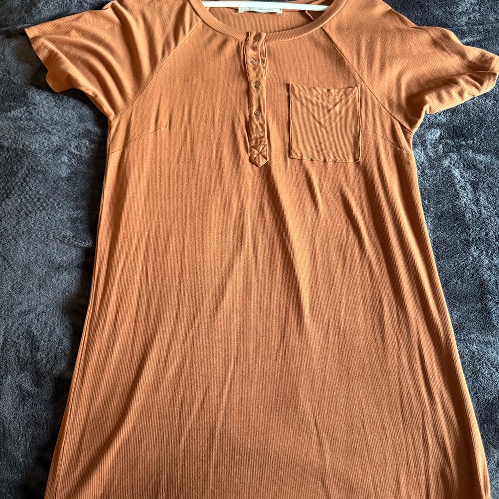 Lizard thicket burnt Orange T-shirt Dress